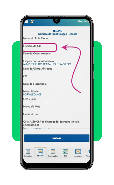 Consultar o PIS pelo CPF