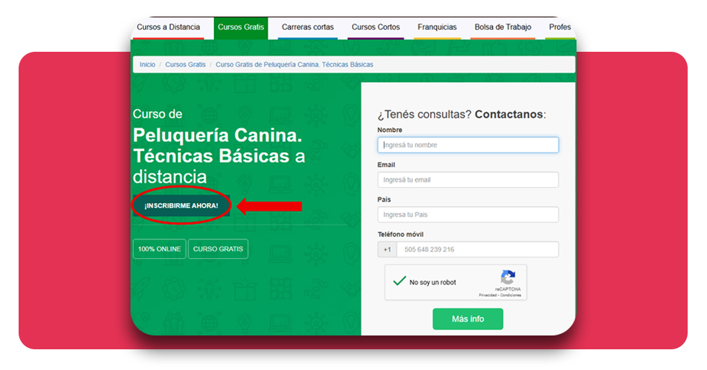 Curso básico de peluquería canina