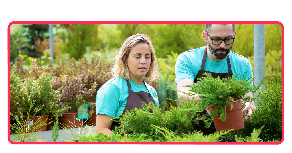 Curso de servicios básicos de jardinería