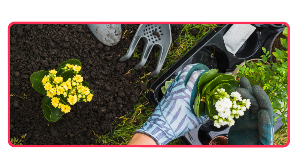 Médio ambiente y jardinería