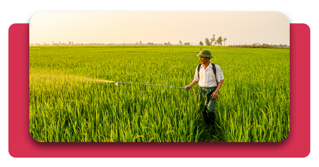 curso de trabajo agrícola