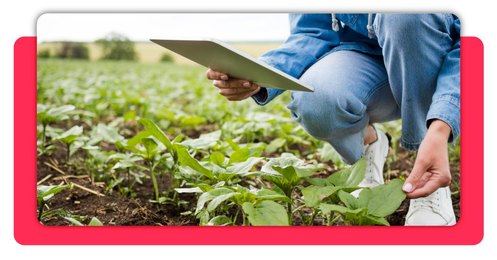 sostenibilidad agrícola