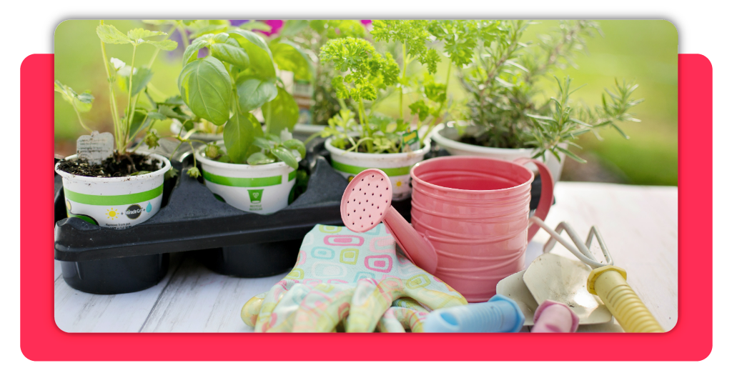 Curso de jardinería gratis: últimas plazas con certificado SEPE 1 IMG 4987 01 1