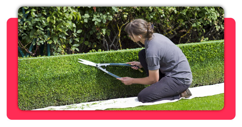 Si quieres aprender sobre jardinería y actividades en viveros, este curso te abre las puertas a una formación profesional con conocimiento práctico.