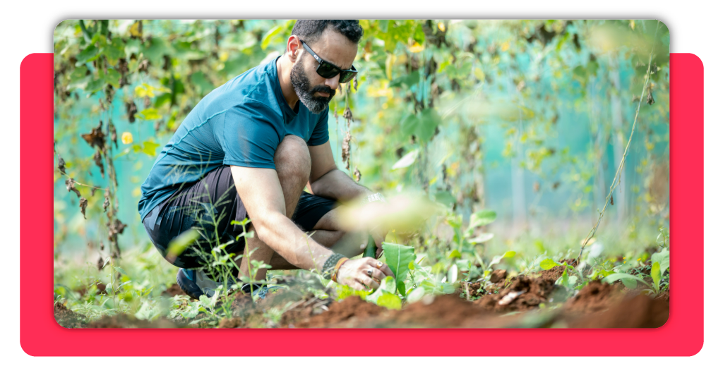 Si buscas un curso que te dé una certificación profesional en manejo de jardines y viveros, esta es una opción que no puedes dejar pasar.