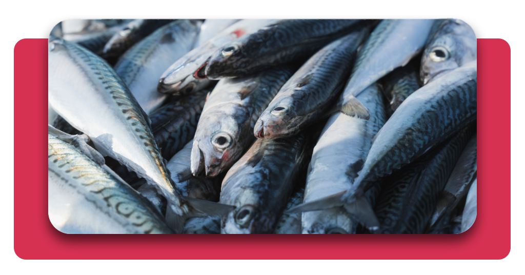 La correcta conservación y manipulación del pescado constituye una competencia esencial que los participantes desarrollan durante la formación en pescadería