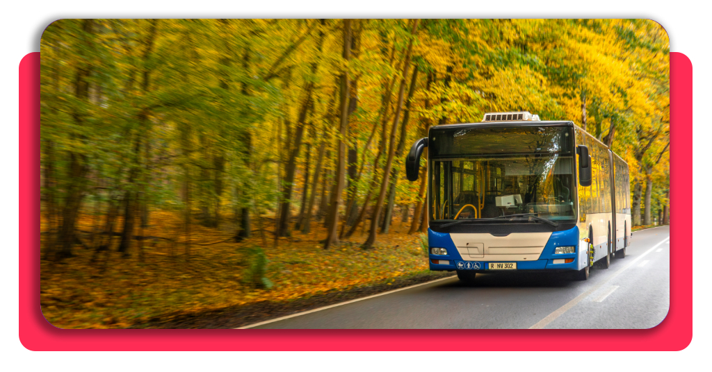 Mujeres conducen autobuses: curso gratis para empezar 6 Obtener la licencia de autobús y el CAP de viajeros es más sencillo de lo que parece. Para conducir autobuses profesionales necesitas ambas, sin excepción